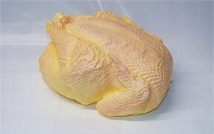 Replica Whole Uncooked Chicken for fake uncooked chicken for display.