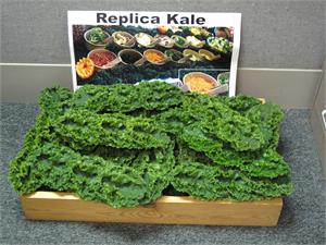 Replica Kale for Sale- Fake Kale for display.