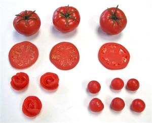 Replica Tomato Variety- Fake Tomatoes For Display. Replica Tomatoes and Fake Foods In Stock.