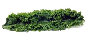 12" Long Plastic Kale- Fake Kale for display in salad bars and grocery store displays.