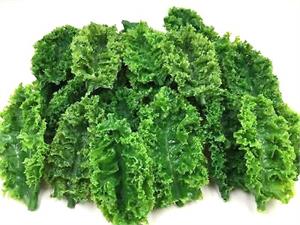 Plastic kale for sale, washable replica kale for display in salad bars and restaurant fake kale display.