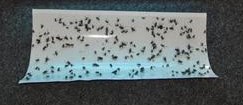 No Zap Fly Trap sticky paper for model NZ3000. Replacement Fly Trap Paper in stock.