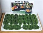 We Have Plastic Kale In Stock- Fake kale for salad bar and salsa bar decoration.