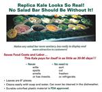 Replica Kale For Fake Foods Display- Plastic Kale For Sale from Arizona.